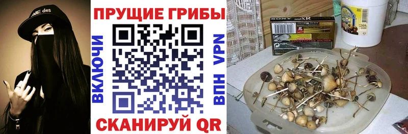 как найти закладки  mega как зайти  Галлюциногенные грибы GOLDEN TEACHER  Еманжелинск 