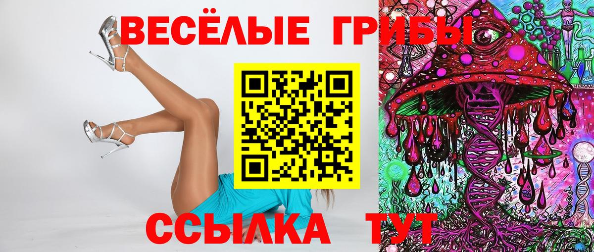 Галлюциногенные грибы Psilocybe Еманжелинск