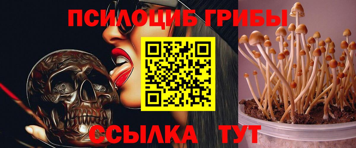 Еманжелинск  Псилоцибиновые грибы мухоморы  наркотики  Вход с VPN 